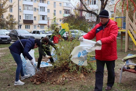 Депутаты вместе с жителями провели месячник чистоты в округах